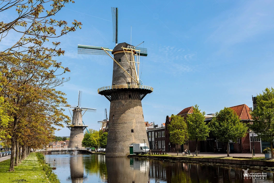 Chauffeur voor de molen De Vrijheid